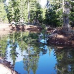 Pond