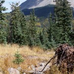 Spring and West Peak