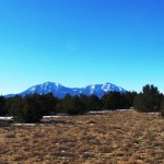 123rrrmeadowspanishpeaks