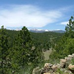 view1
