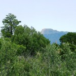 f27viewoffisherspeak-from-property